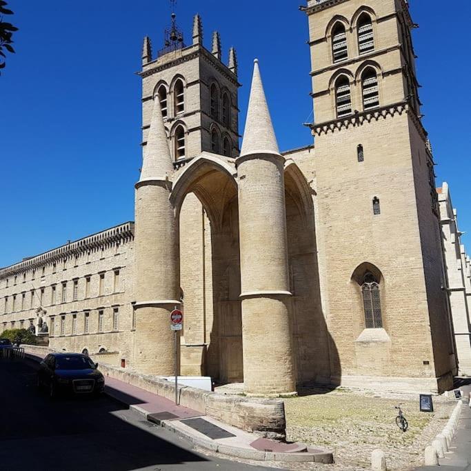 Appartement Cosy Et Calme - Centre Historique Montpellier Eksteriør bilde